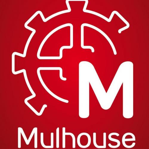 Conseil municipal des jeunes – Mulhouse