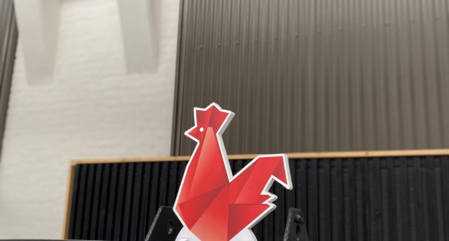 357601539_231701299675618_8953579336870632337_n